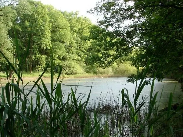 Semesterbostad Bindow